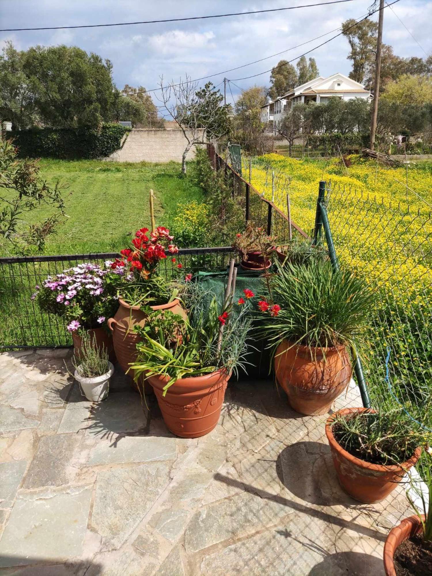Alexandra'S Apartments أخارافي المظهر الخارجي الصورة